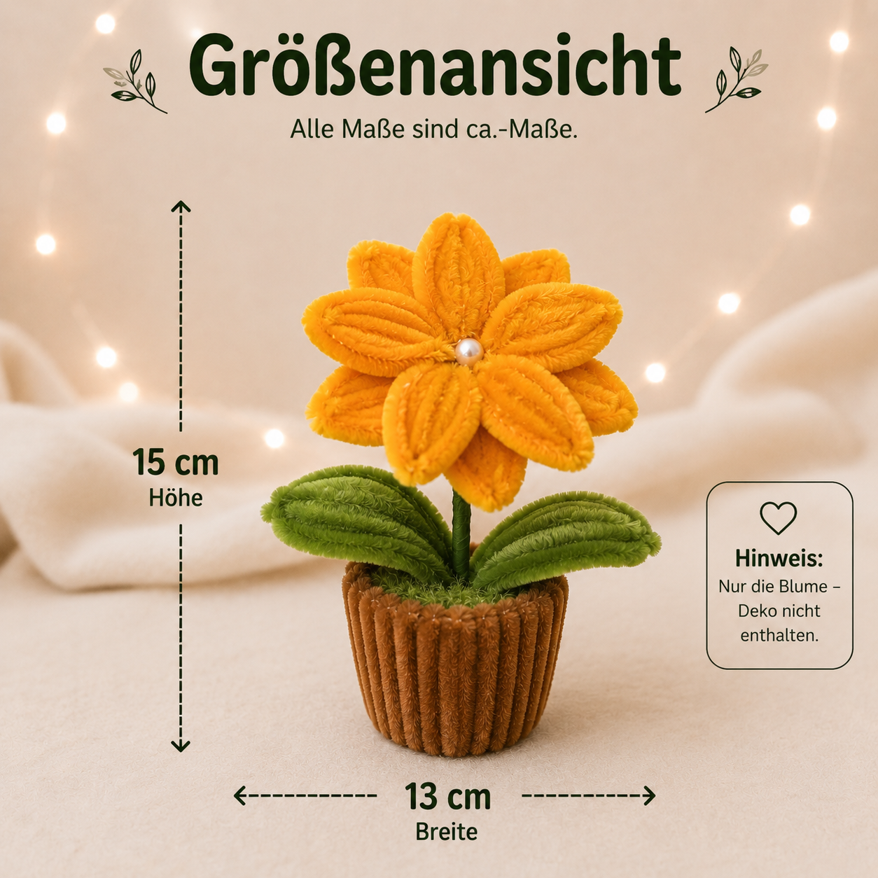 Alle wichtigen Informationen zur Größe auf einen Blick.